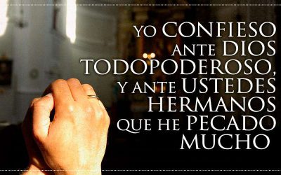 5. «Yo confieso ante Dios…»